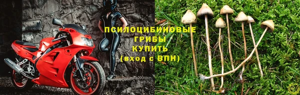 скорость Алексин