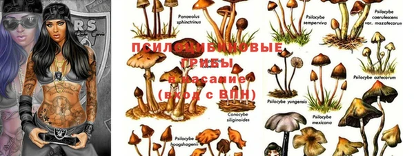 2c-b Алзамай