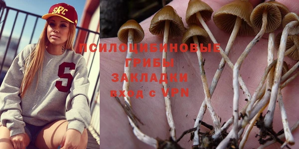марки lsd Абаза