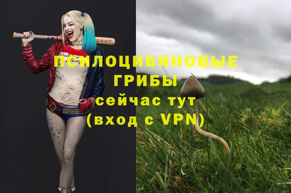 ГАЛЛЮЦИНОГЕННЫЕ ГРИБЫ Чердынь